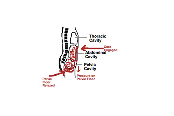 Intra Abdominal pressure: Good or Bad?